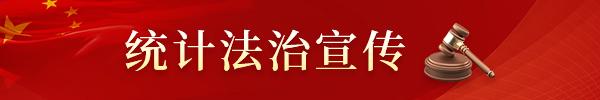 统计法制宣传