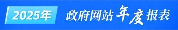 2025年政府网站年度报表