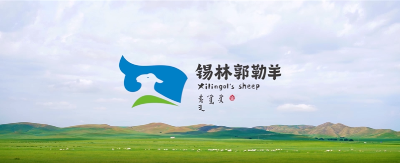 锡林郭勒羊宣传片
