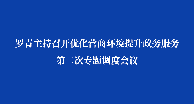 罗青主持召开优化营商环境提升政务服务第二次专题调度会议